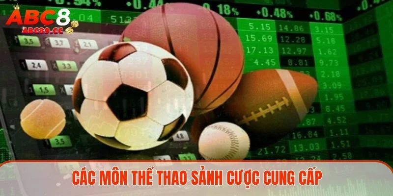 Các môn thể thao sảnh cược cung cấp