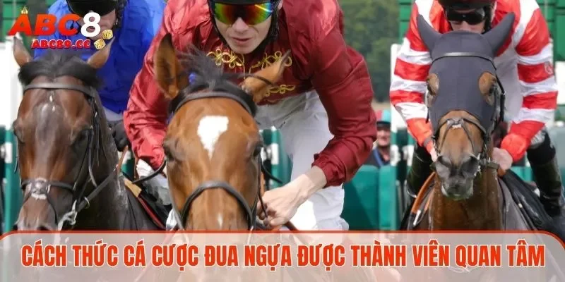 Cách thức cá cược đua ngựa được thành viên quan tâm
