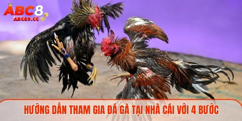 Hướng dẫn tham gia đá gà tại nhà cái với 4 bước