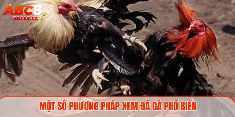 Một số phương pháp xem đá gà phổ biến